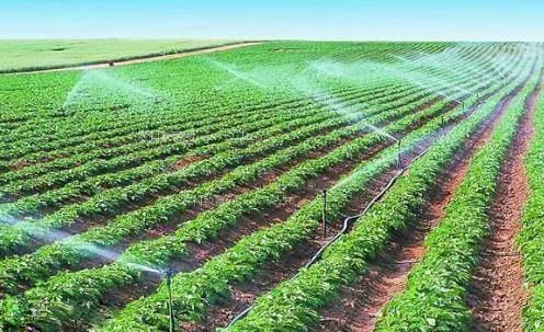 男人女人猛烈抽插视频农田高 效节水灌溉